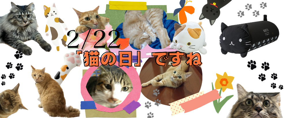 ニッセン猫の日